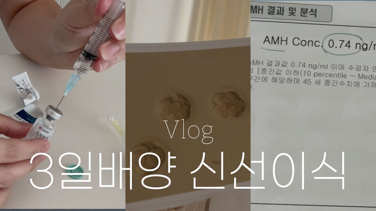 [난임일기] 어느덧 고차수, 없는 난포 키워서 채취, 첫 신선이식 :: 드는 deneun Vlog46