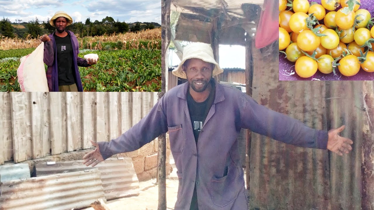 Demolishing Our Small Building & Harvesting Spinach and Cherry Tomatoes | Village Life