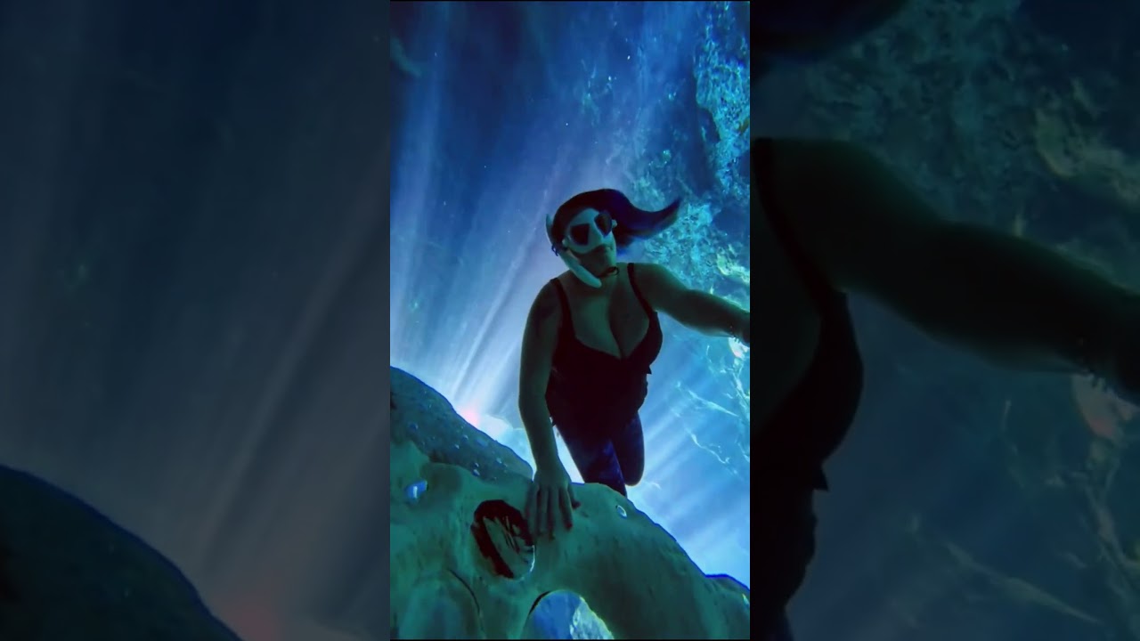 I was supposed to be all along. | freediver #shorts #shortsfeed