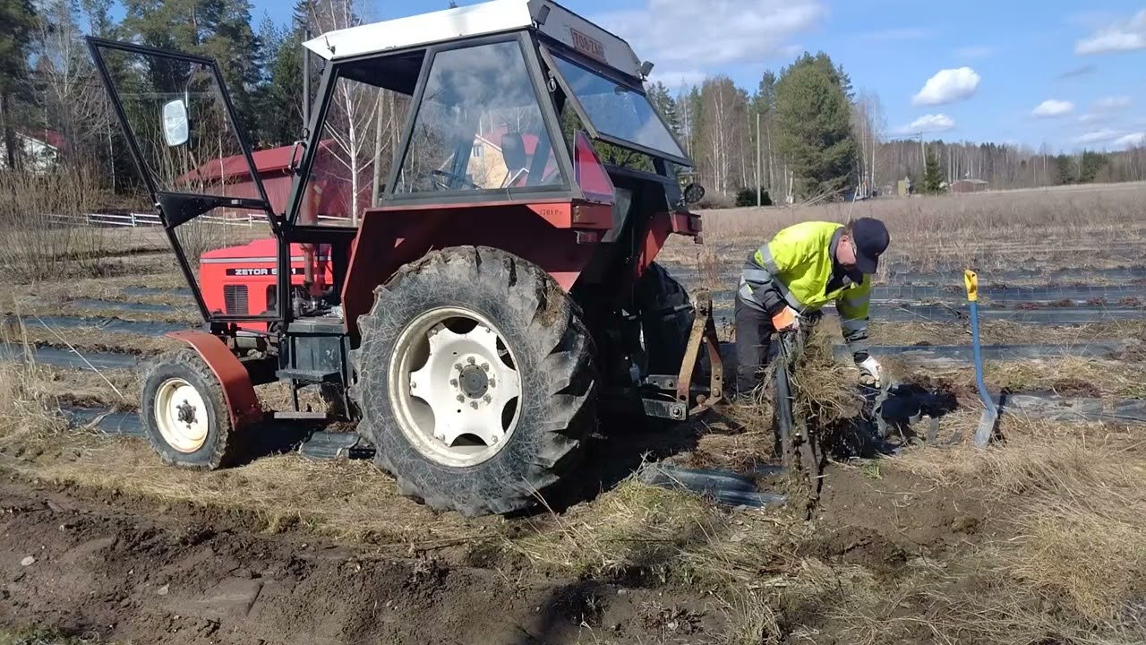 ZETORILLA TOUKOTÖIHIN💪🏻💪🏻🌞 Zetor 5011