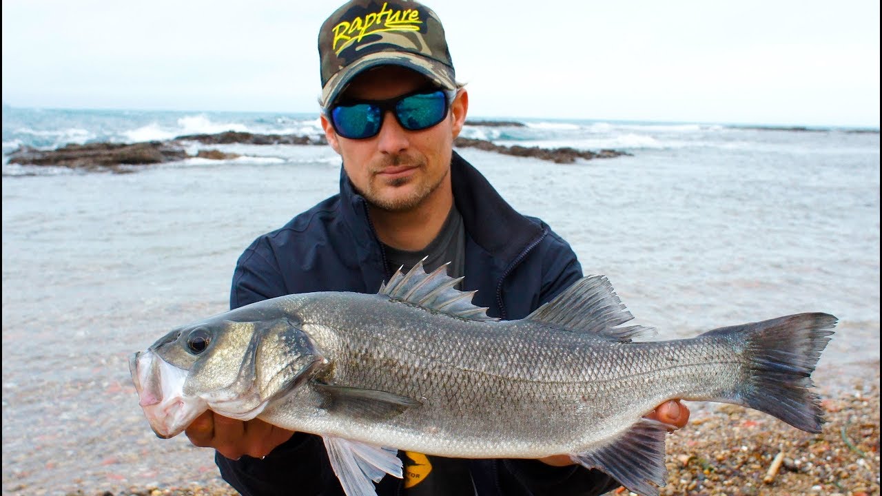 Rapture Lures - Spinning notturno alla spigola