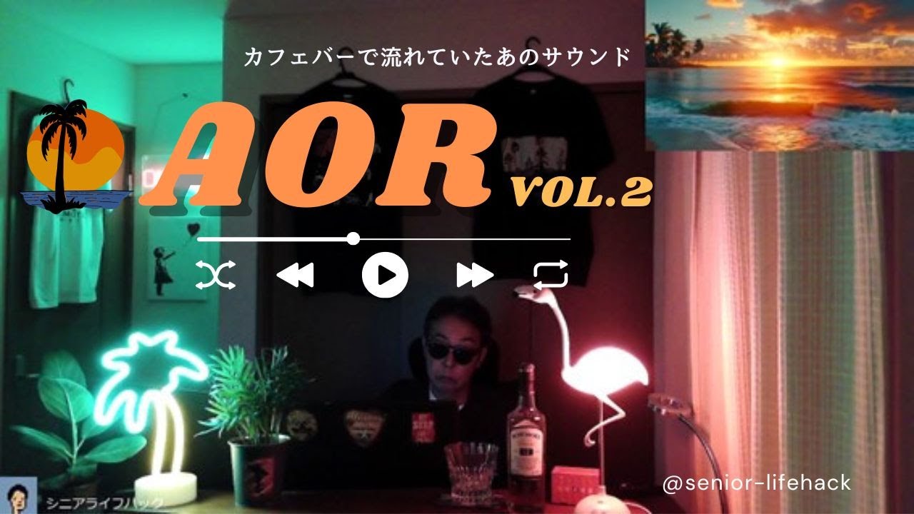【AOR Vol.2】ゲレンデ⛷️やビーチサード🏝️のカフェバーで聞いたなつかしの曲　80年代を中心にお届けします　＠Tokyo Japan