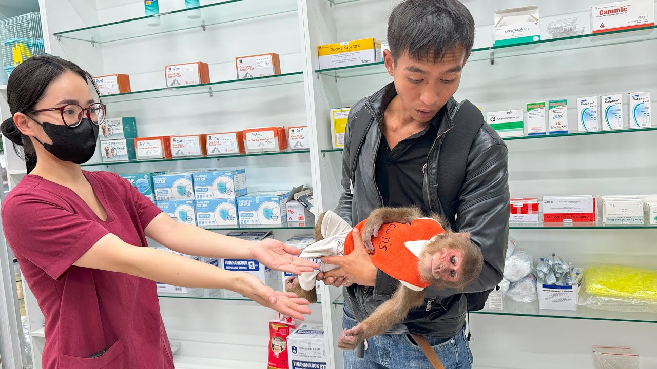 What happens when CUTIS has to see doctor urgently