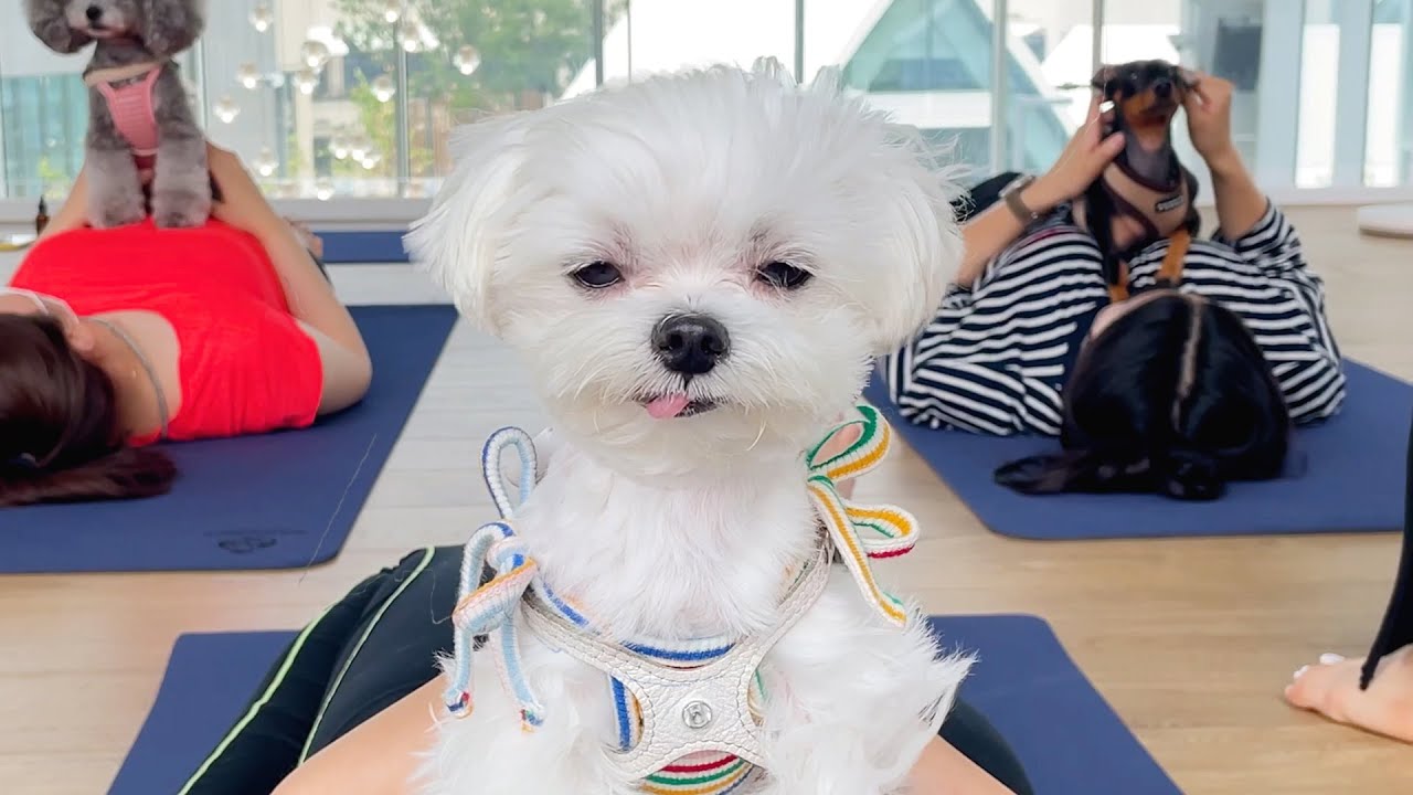 운동 안 한다고 했다