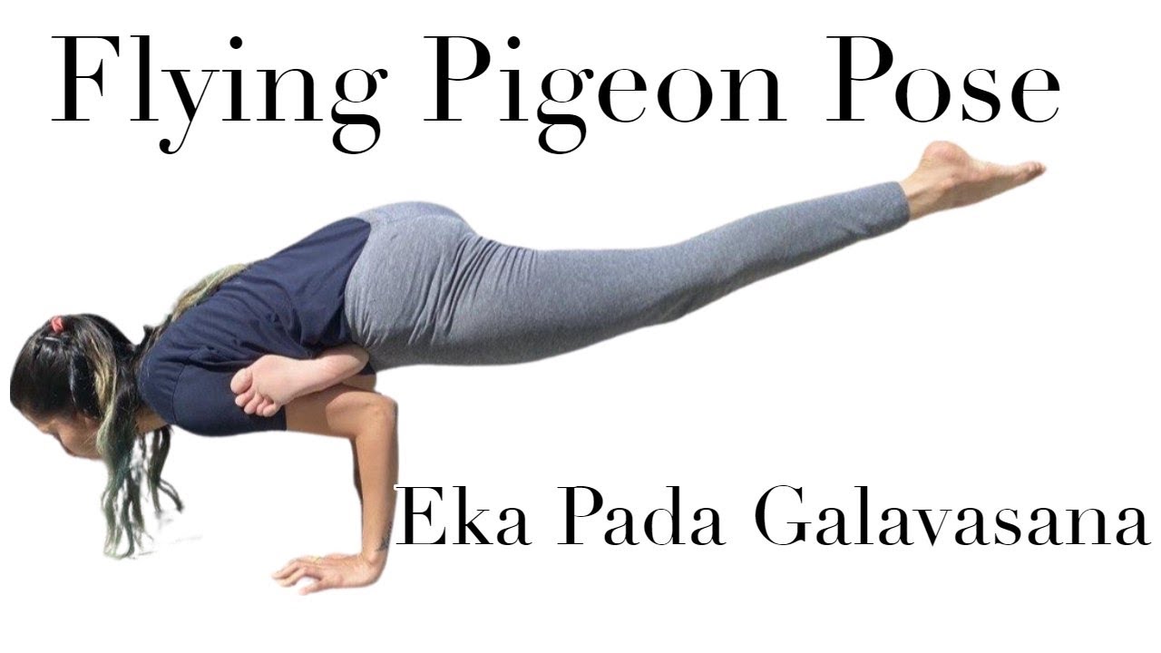 Flying Pigeon Pose Tutorials (Tips & Tricks) | How To Do Eka Pada Galavasana | Suggested video