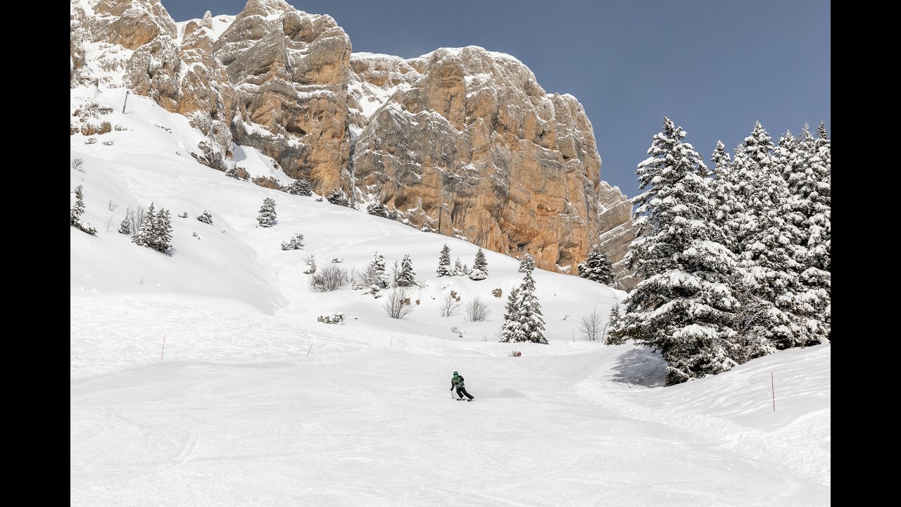 Gresse-en-Vercors Powder Day Up Top