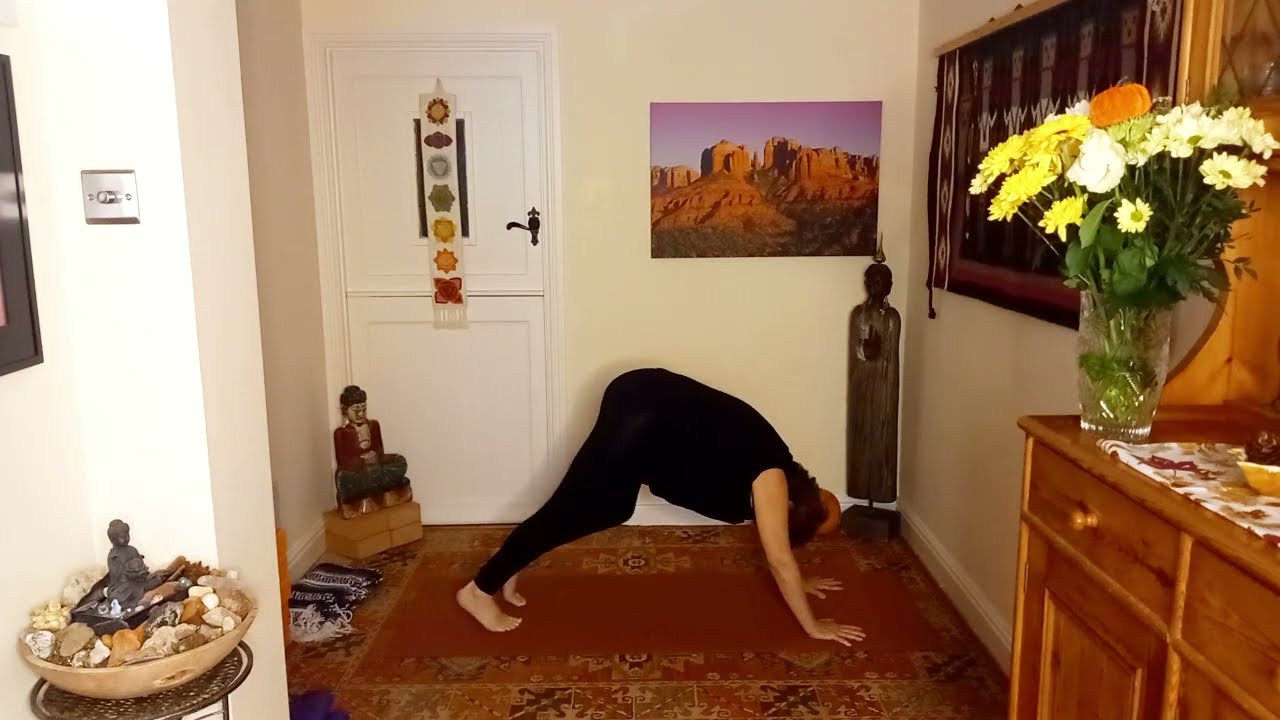 Downward Dog Yoga Pose Part 1 (#8)