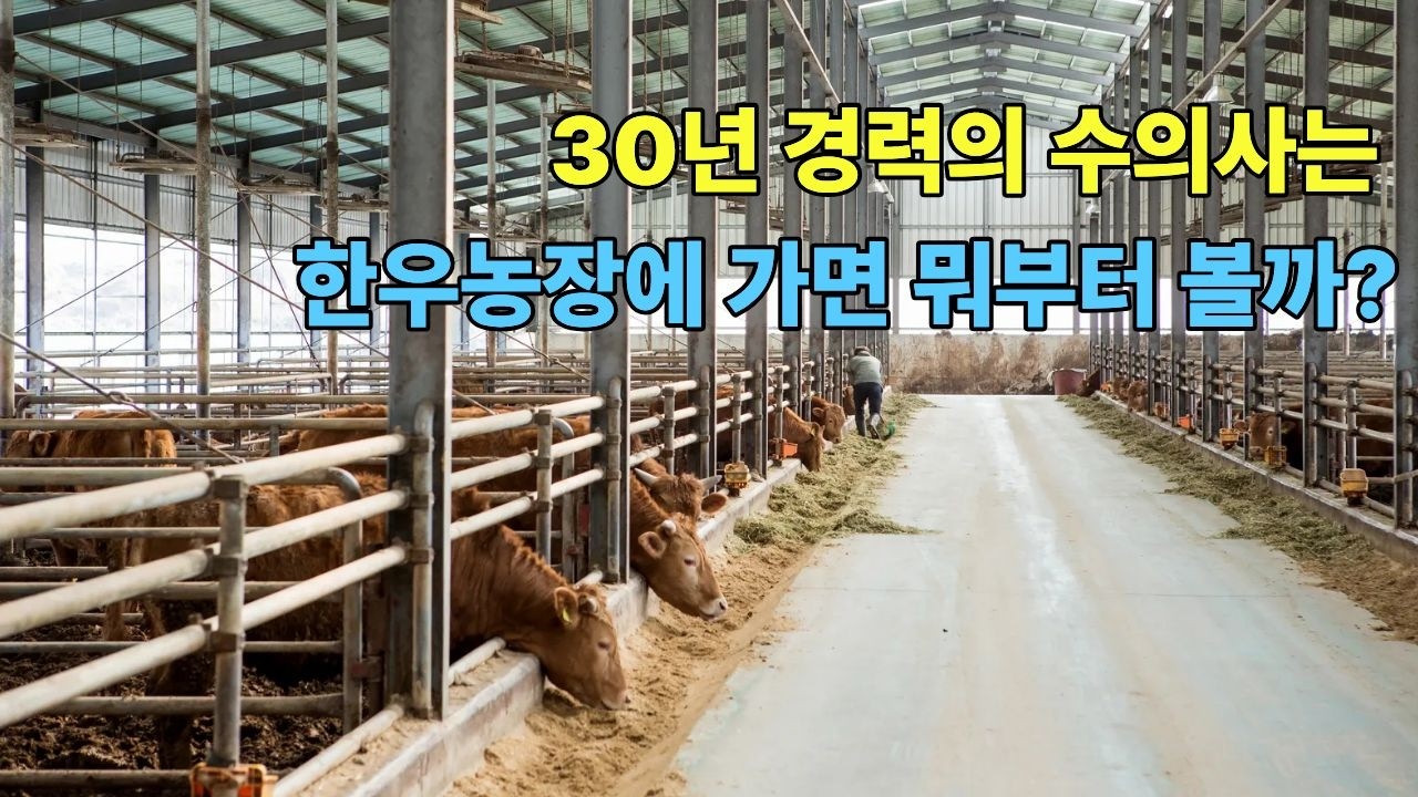 30년 경력 수의사는 한우농장에 가면 뭐부터 볼까?