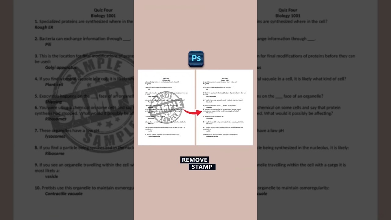 Remove Stamp From Paper In Adobe Photoshop #shorts #shortsfeed #shortvideo #adobe