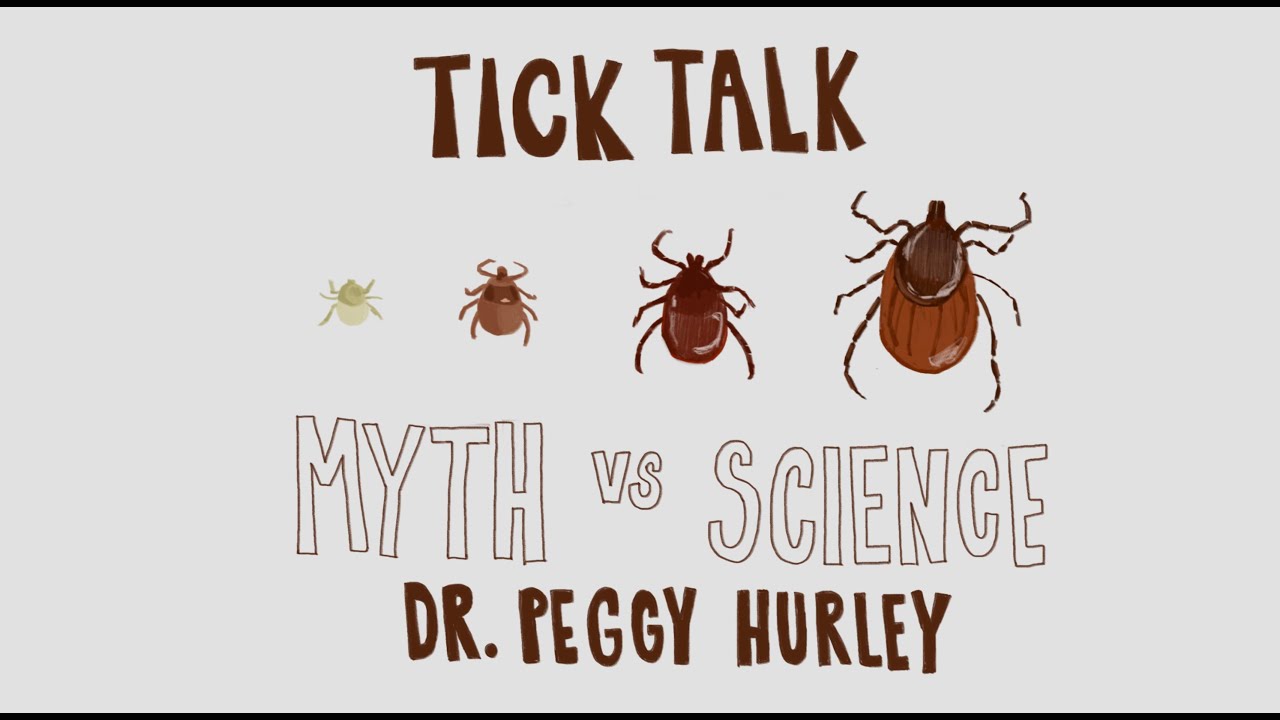 Tick Talk: Myth vs. Science