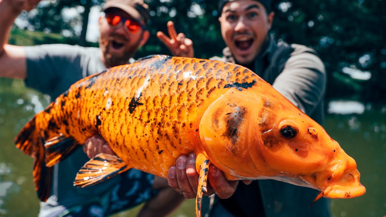 Wir angeln die teuersten Fische der Welt in kleinem Geheimsee!!!