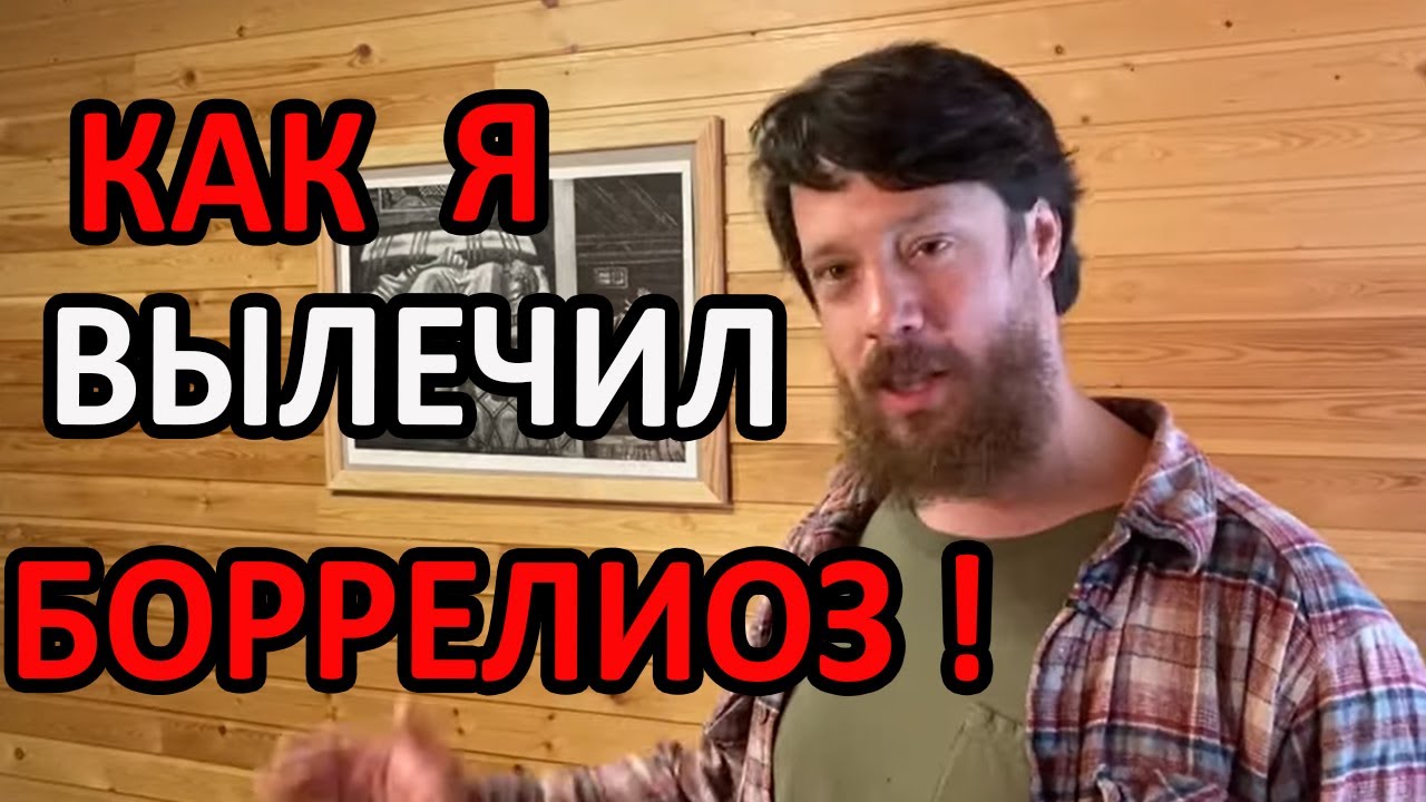Как я вылечил боррелиоз!