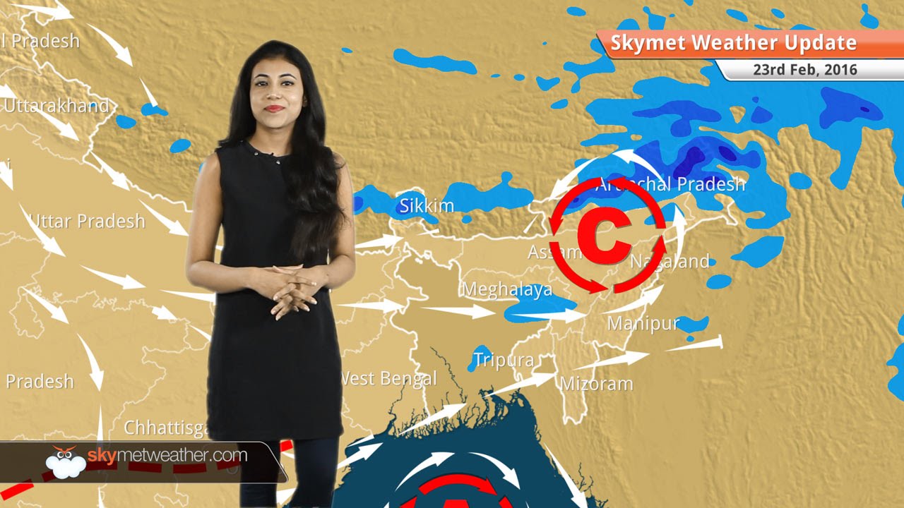 Weather Forecast for February 23: Delhi, Punjab, Haryana to witness cold nights and warm days