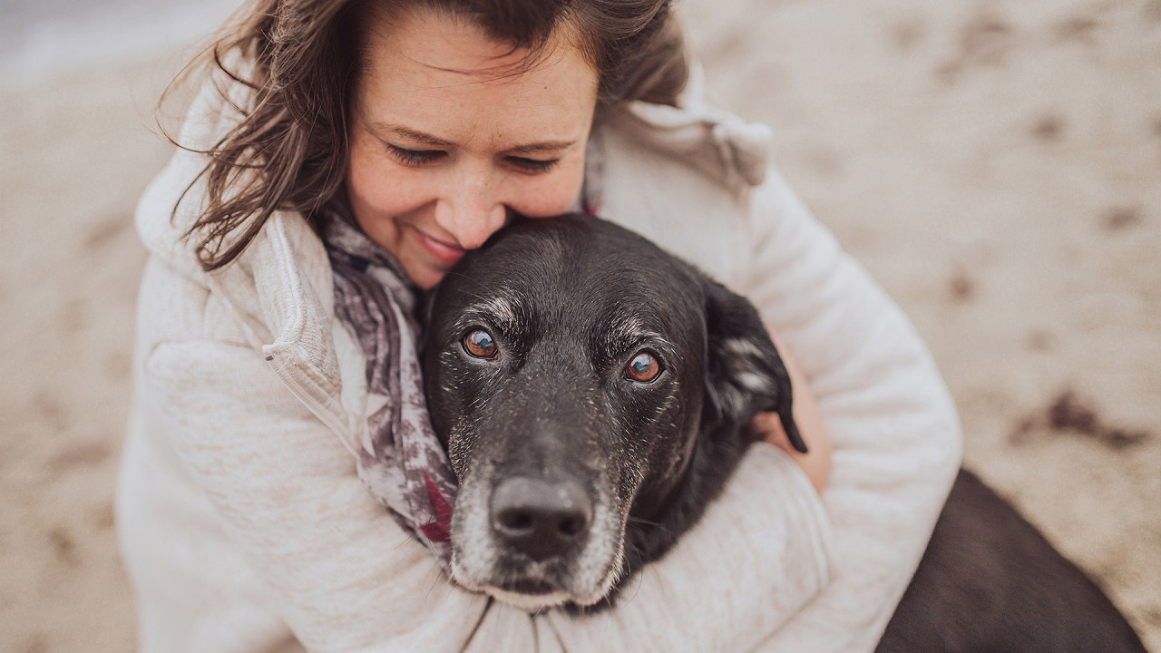 Highlight-Video zum Hunde-Fotoshooting mit Jenny & Timo