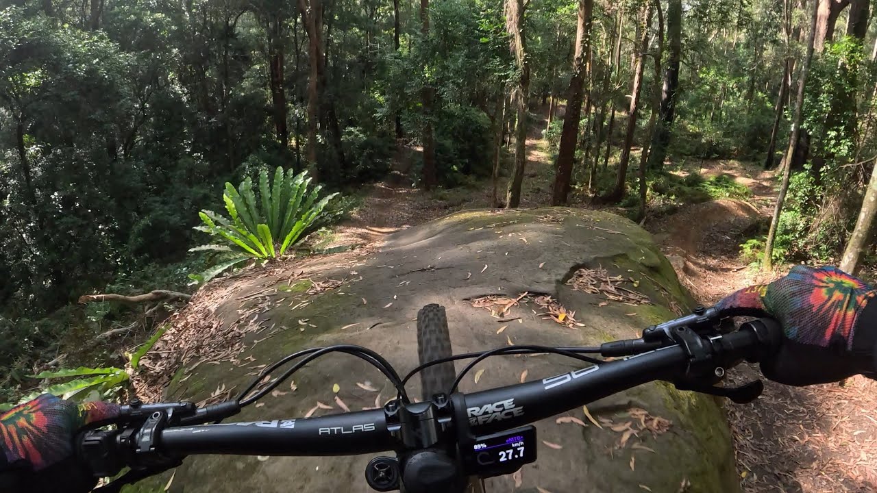 Riding Possums in Wollongong 