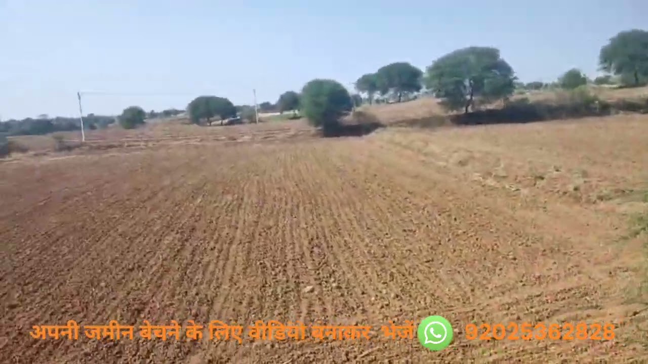 मध्य प्रदेश के रायसेन जिले की जमीन है 40 एकड़ #farming#raisen#jameenbikau#property