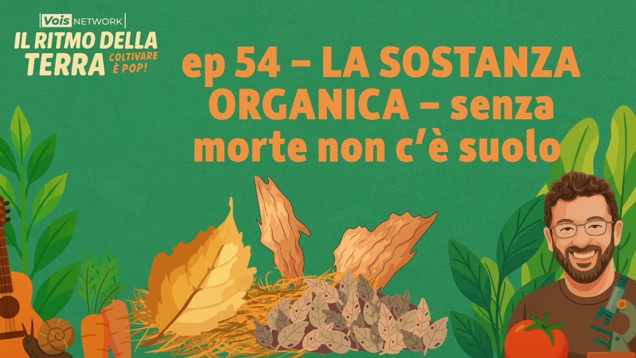 Senza morte non c'è suolo, la sostanza organica - ep 54 - Il ritmo della terra, coltivare è pop