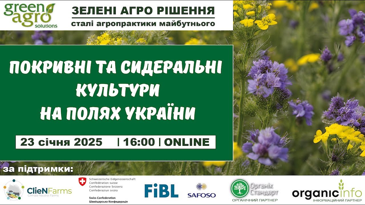 Покривні та сидеральні культури на полях України.