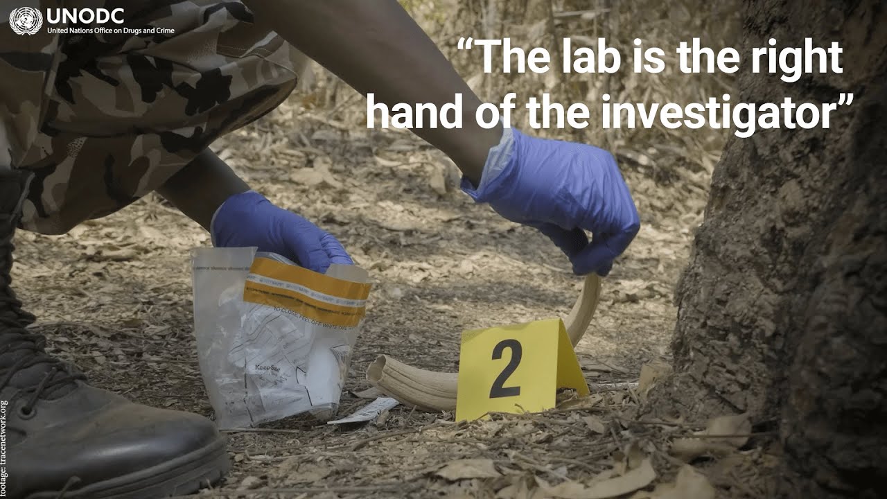 Wildlife forensics labs