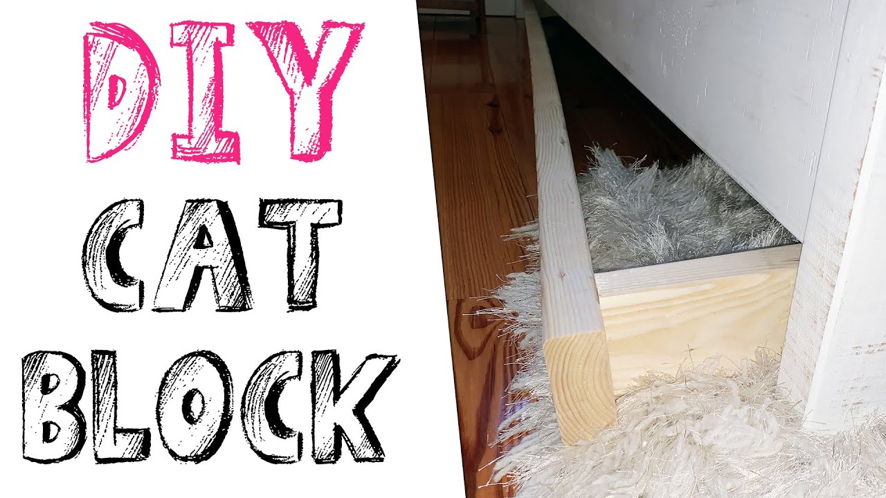 How To Keep Cats Out From Under The Bed (Under $10)