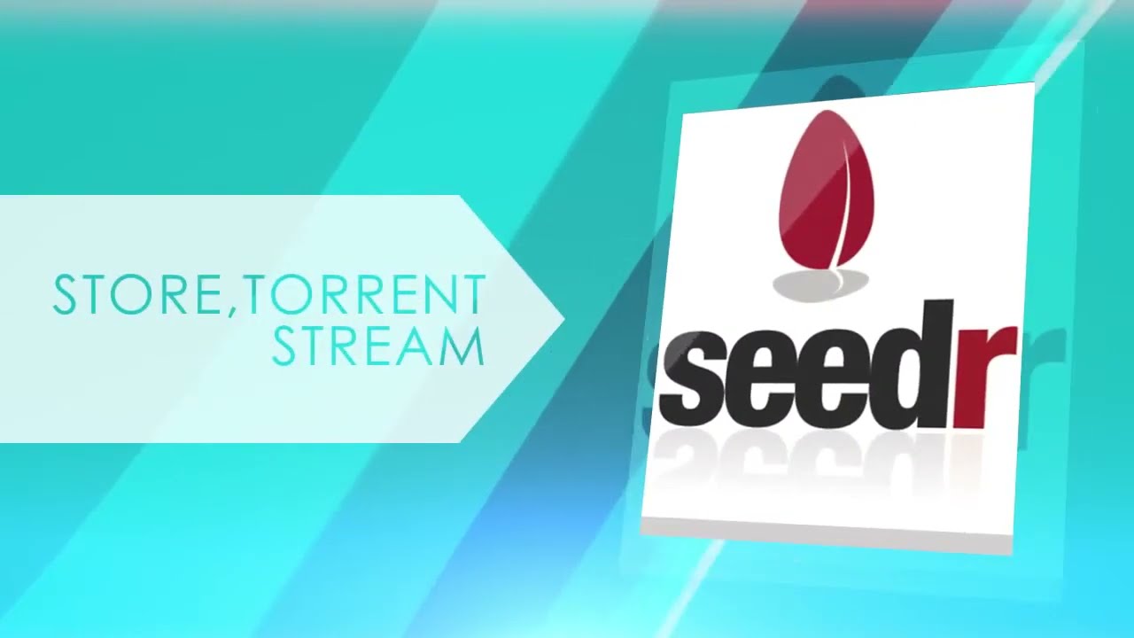 Seedr Review