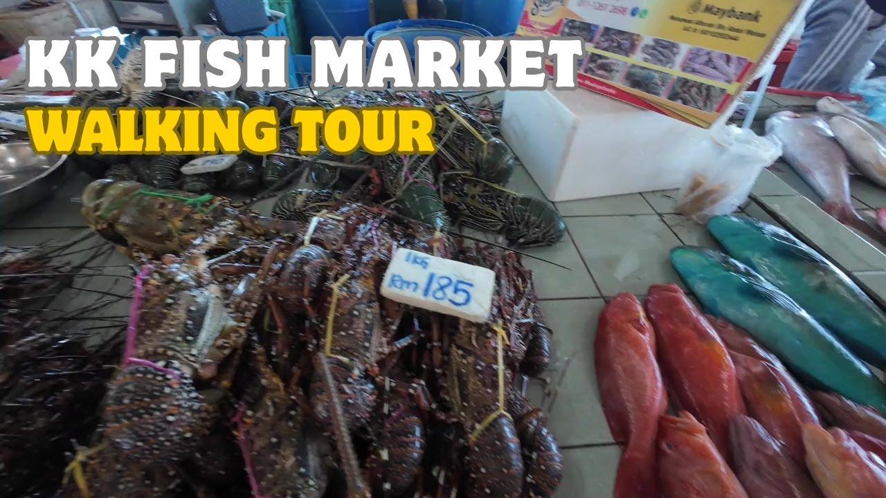 KK Fish Market | Fresh seafood | Walking Tour 🚶‍➡️
