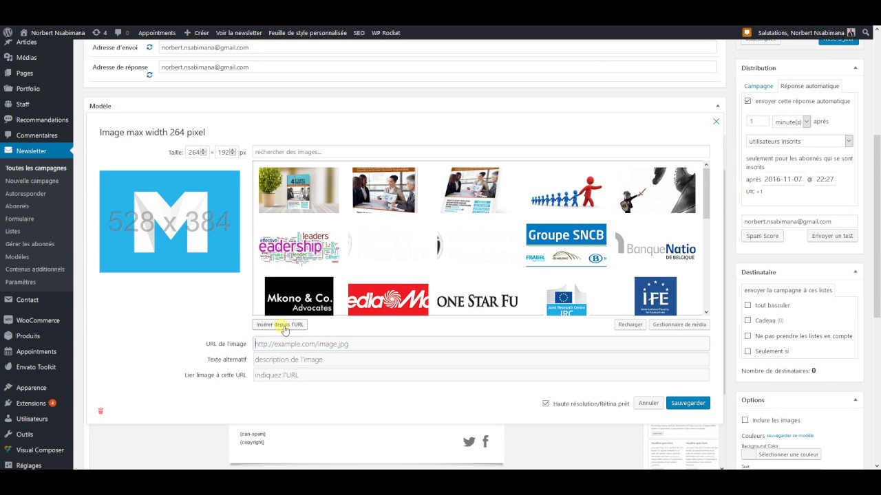 Comment créer une newsletter WordPress avec Mymail
