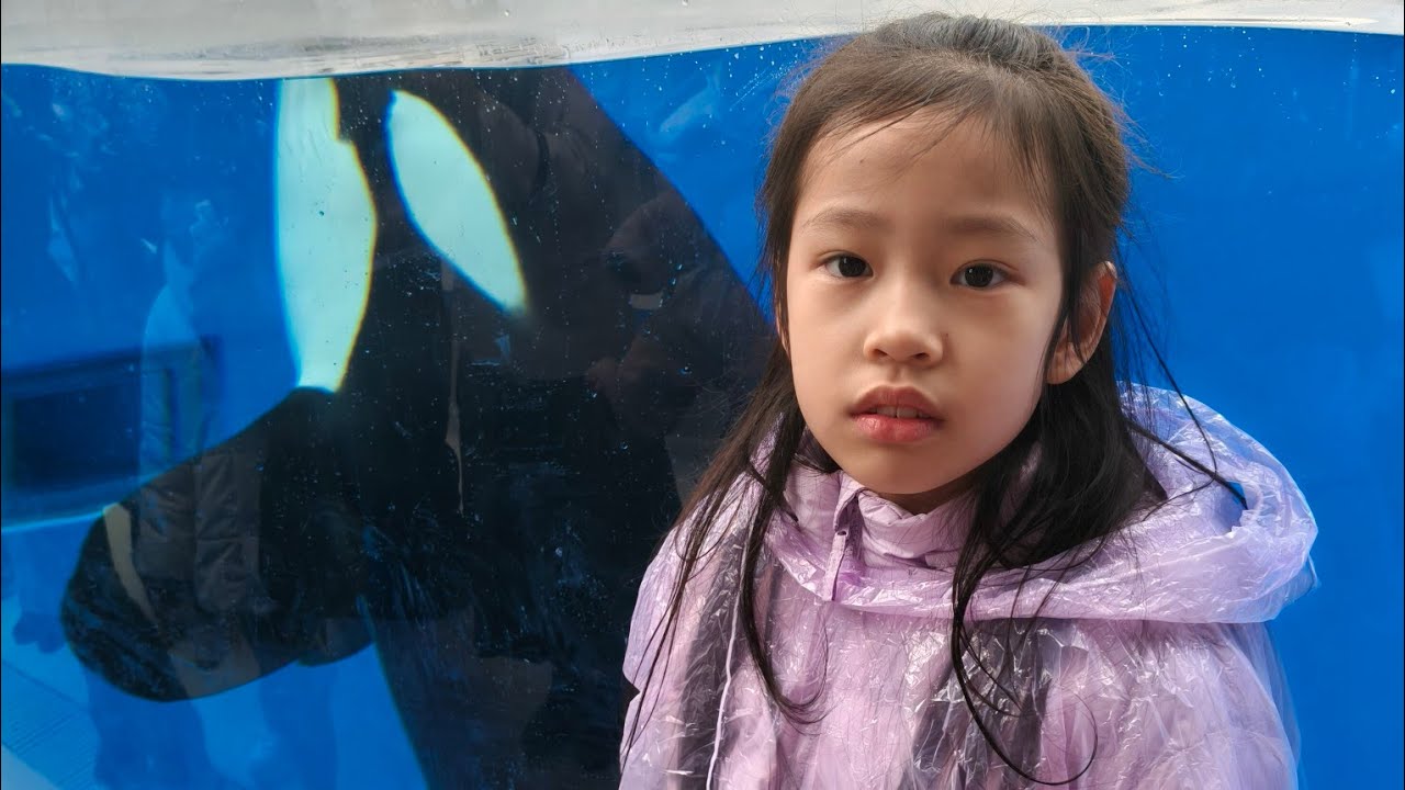 20260308 Kobe Suma Seaworld for Orca