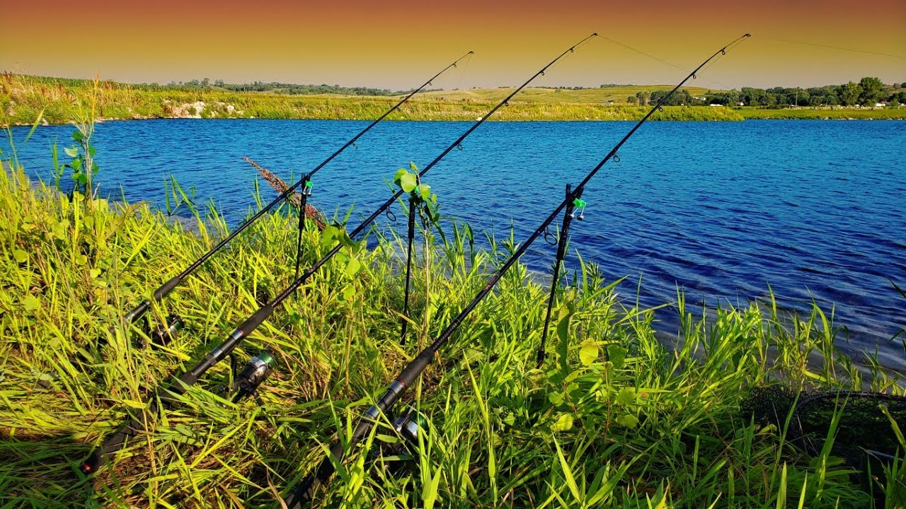 Tips & Tricks for Carp Fishing in Summer HEAT!