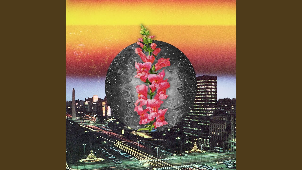Vida