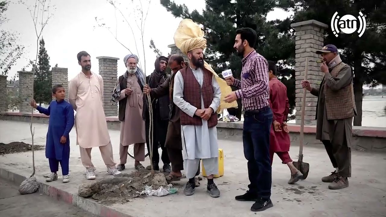 Planting trees in Chaman Hozori sidewalk, HafizAmiri report / نهال شانی در پیاده رو های چمن حضوری