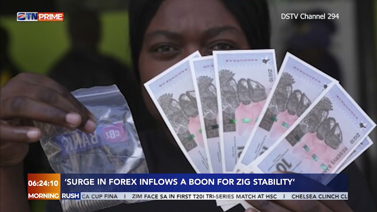 'Surge in Forex inflows a boon for Zig stability'
