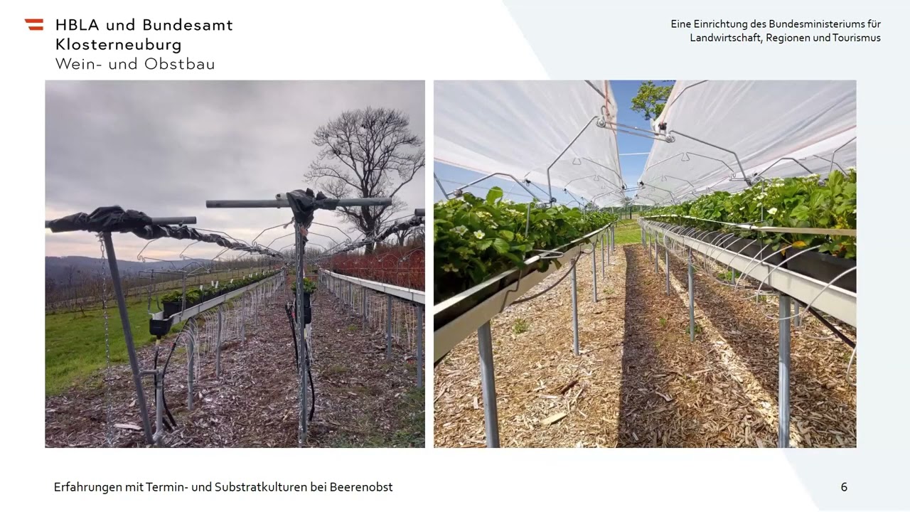 HBLAuBA Klosterneuburg - Forschungstag Obstbau 2023 | Vortrag Mirjam Weißmann
