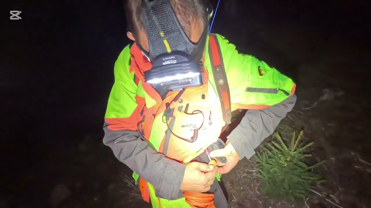 Grabben med p&aring; efters&ouml;k p&aring; en stor vildsvinsgalt