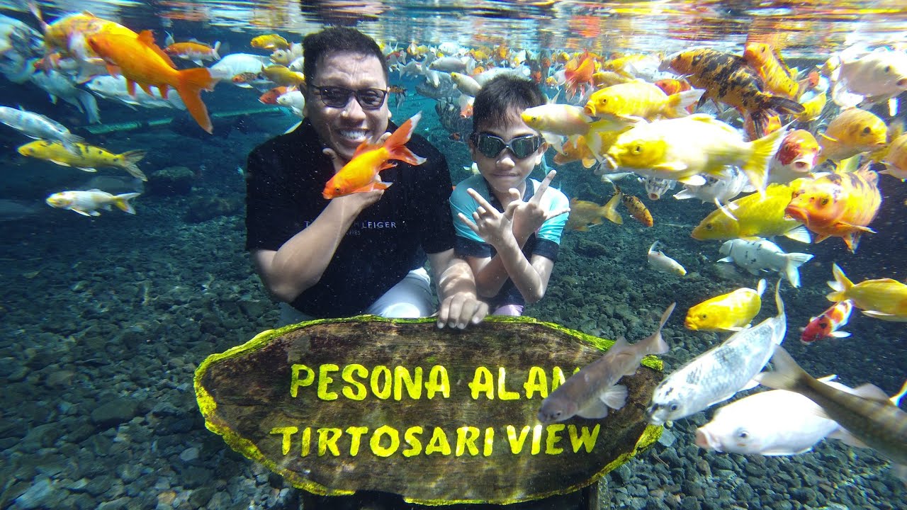 Tirtosari View, Surga Tersembunyi Di Candipuro Lumajang