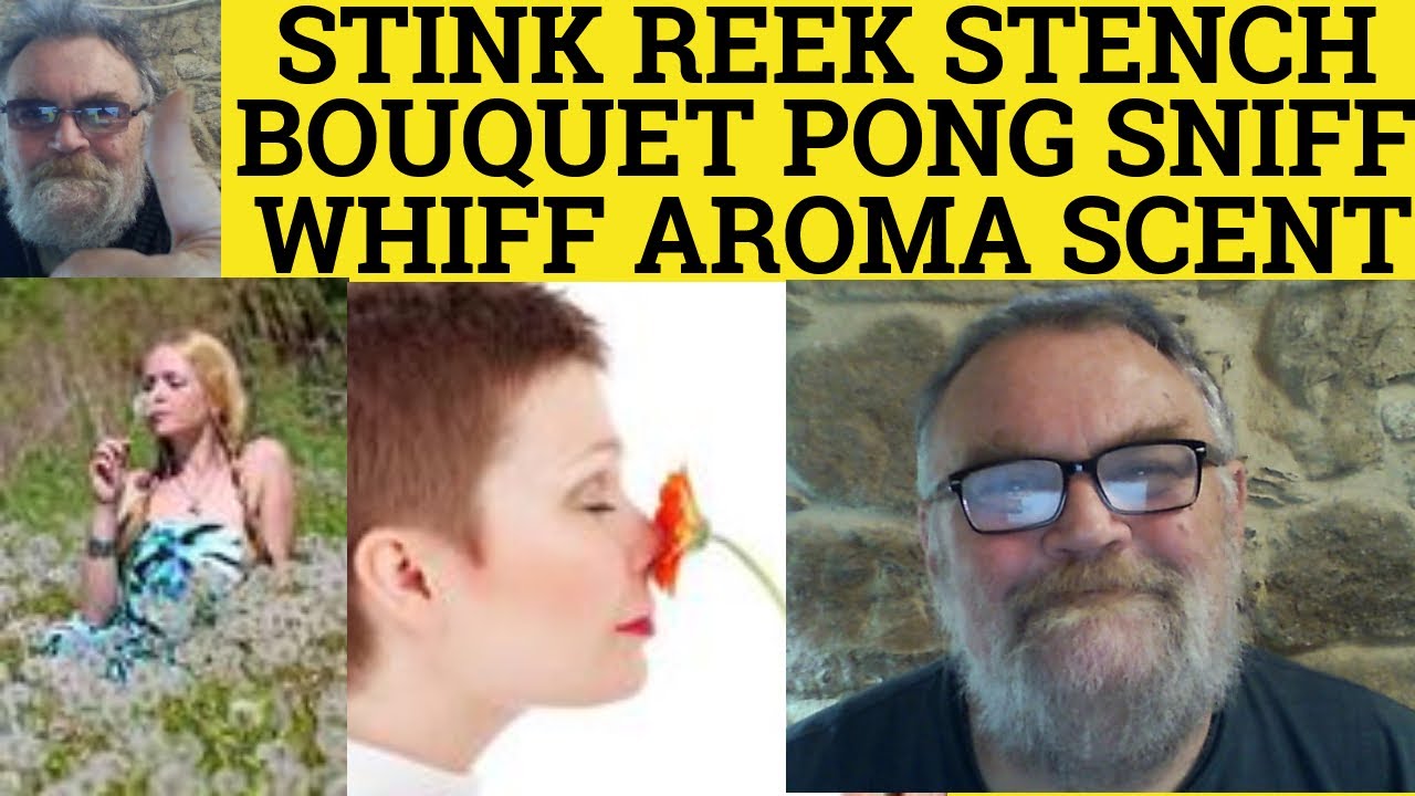 🔵Vivid Smells - Stink Meaning Reek Pong Stench Whiff Sniff Bouquet Aroma Scent Perfume Meaning