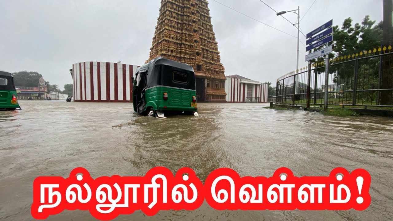 நல்லூரில் !கடலாகமாறியயாழ் பார்க குவியும்மக்கள்
