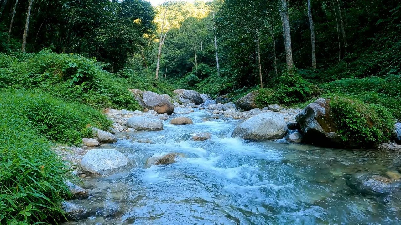 Stress Melt – Beautiful Enchanted Water River Sound in Clear River – Mental Detox