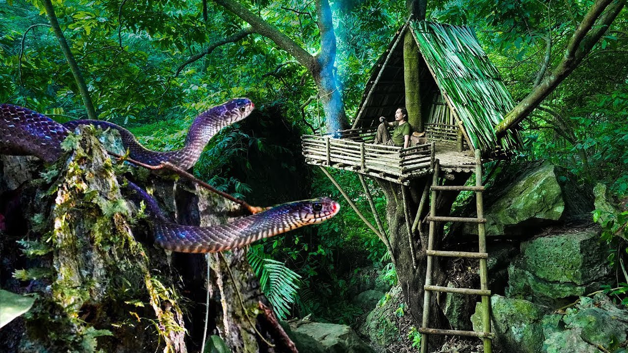 Bushcraft skil:  7 Day Make Shelter in Tall Trees - Attacked by Poisonous Snakes in The Night