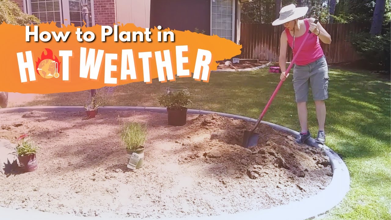 Planting in HOT weather!