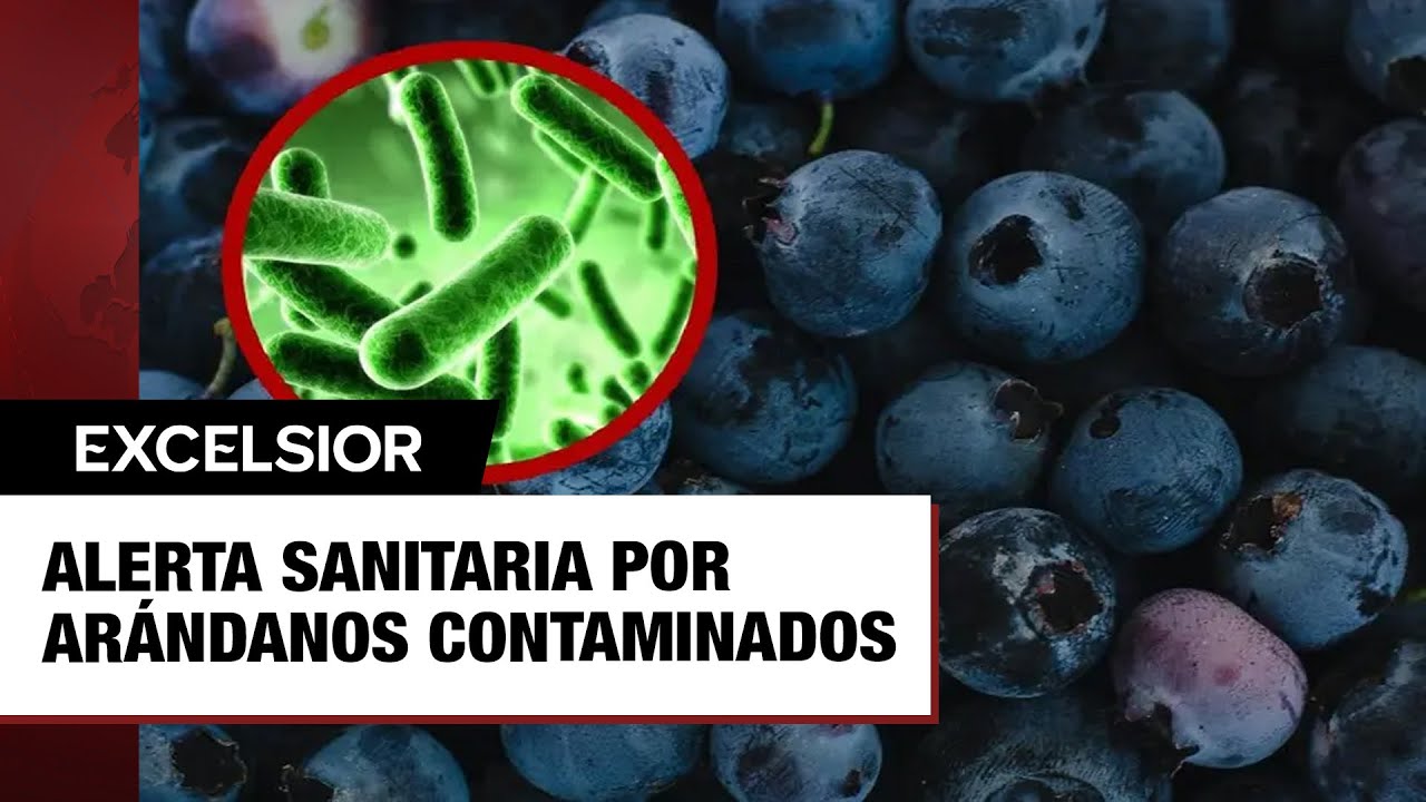 Alerta sanitaria por ar&aacute;ndanos contaminados con peligrosa bacteria: FDA