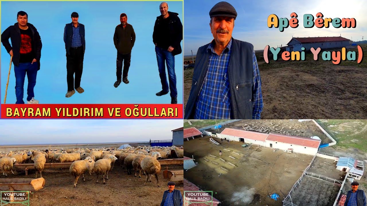 BAYRAM YILDIRIM (Apê Bêrem) - Yeni Yayla