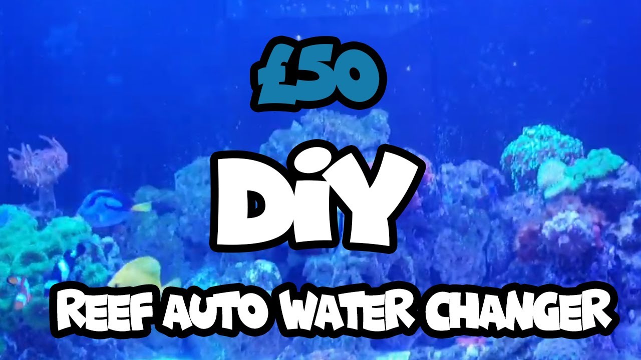 Reef Auto Water Changes for less than &pound;50