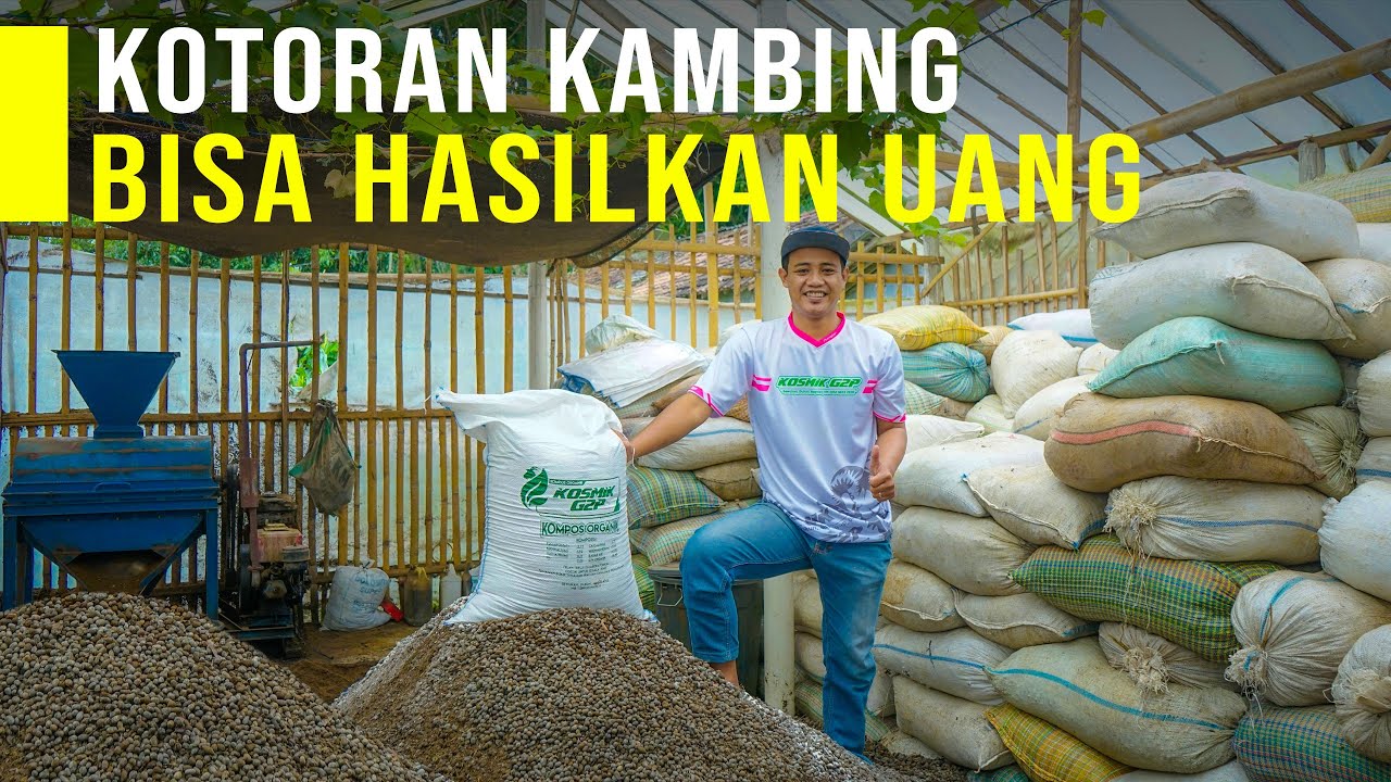 Modal Kotoran Kambing Diolah Menjadi Pupuk Organik Bisa Hasilkan Uang