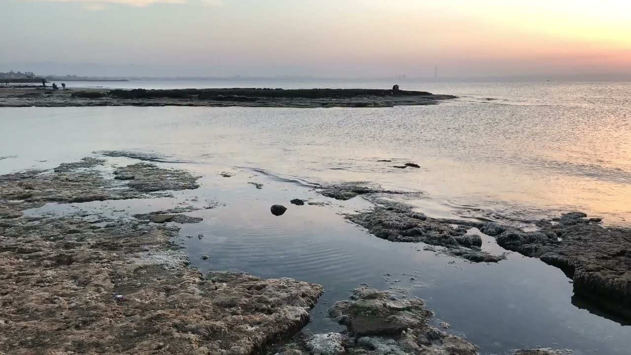 La marré basse Alger plage Algérie 2023 المد و الجزر في شواطئ الجزائر