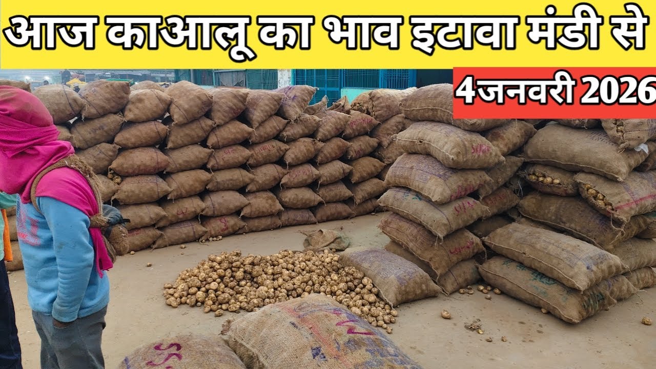आज का आलू का भाव | इटावा मंडी | Potato Price Today Etawah | 4 जनवरी 2026 🥔