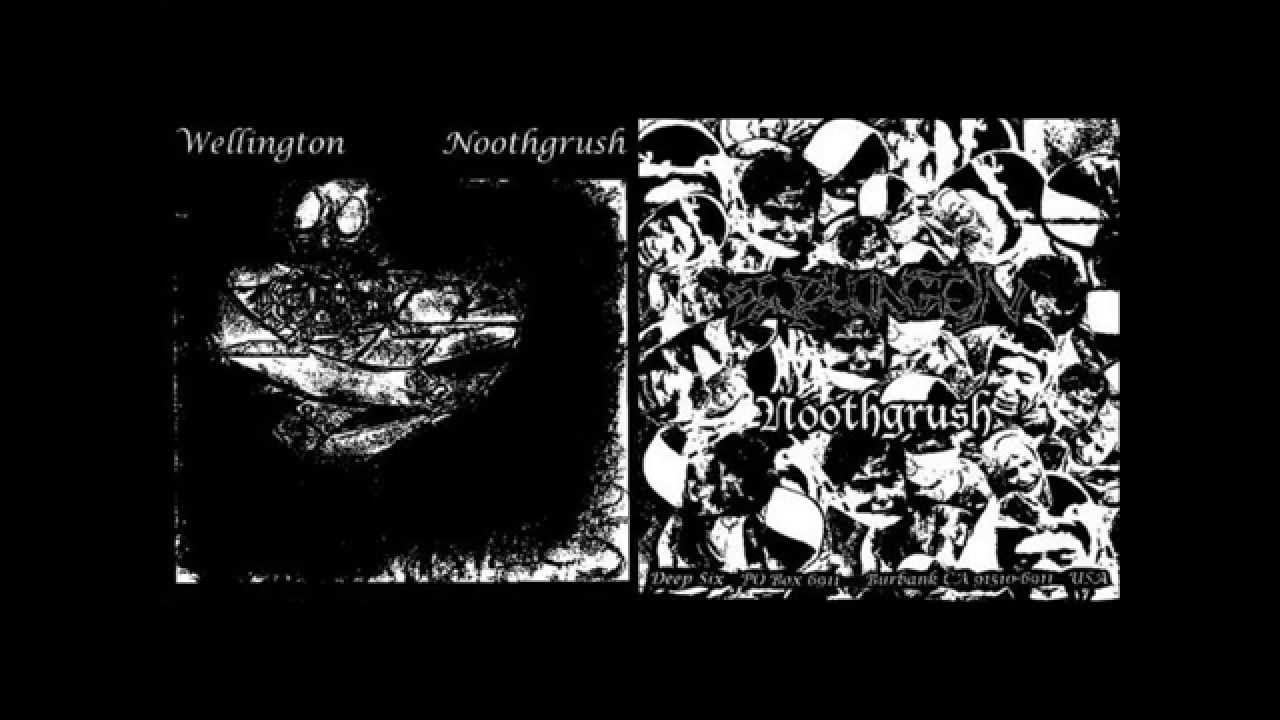NOOTHGRUSH / WELLINGTON - Split 7" (1999)