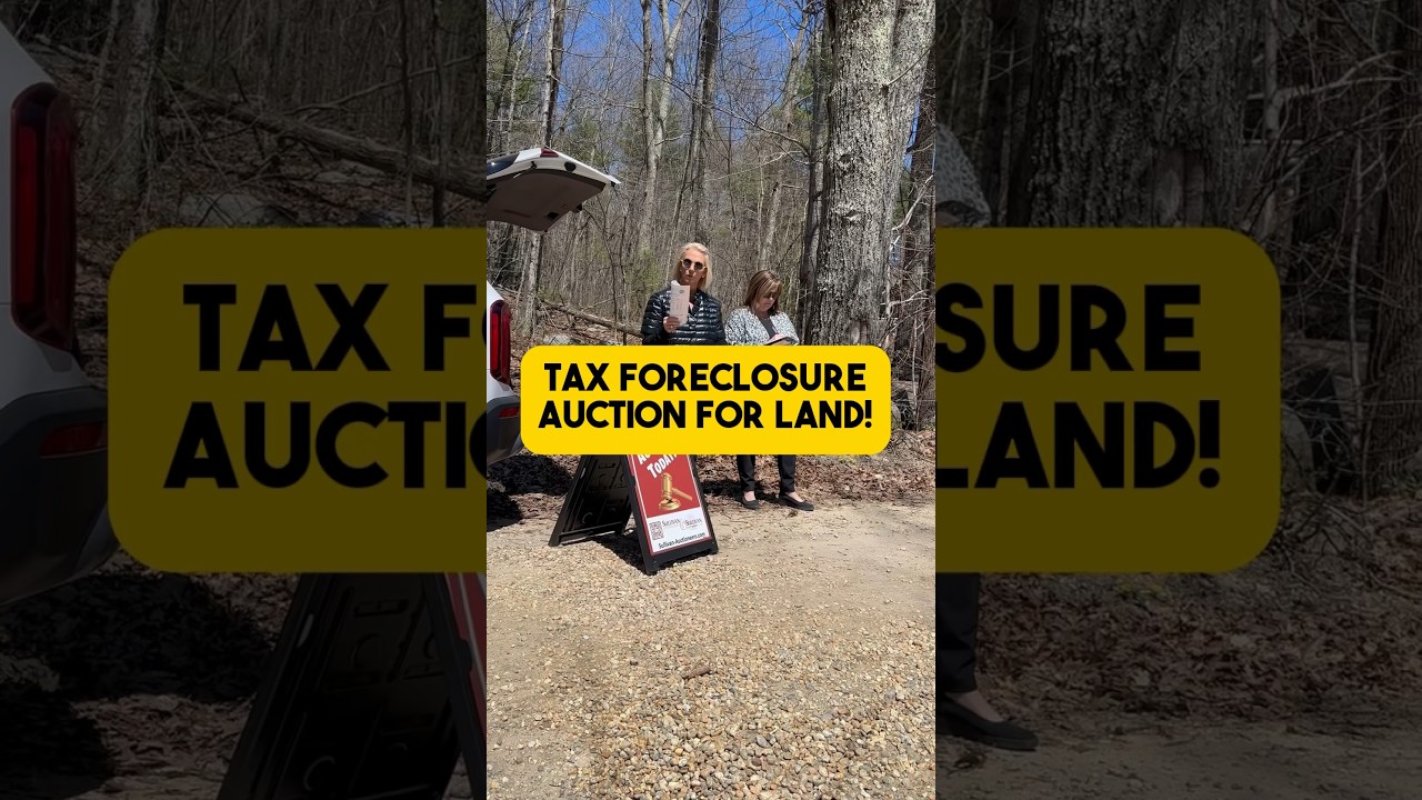 Investors Bid on Land at a Tax Foreclosure Auction!