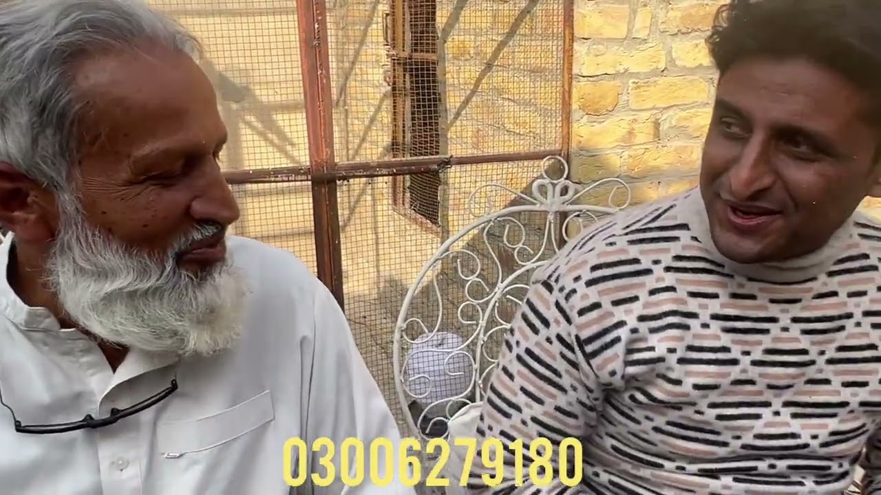عیسی خیل میانوالی کے نامور اُستاد کی زُبانی سیالکوٹی کبوتر کی ویلیو؟؟؟ mianwali pigeon lovers