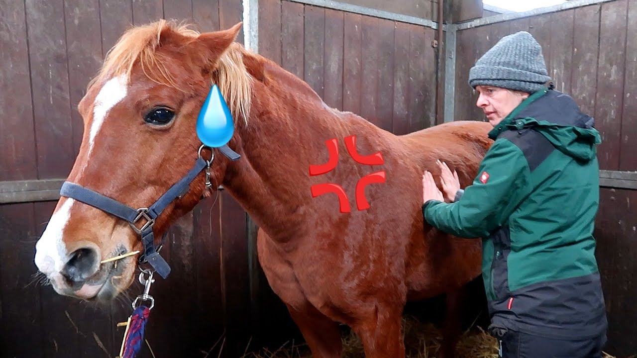 Bezoek osteopaat en heeft Noura al 6 jaar pijn?